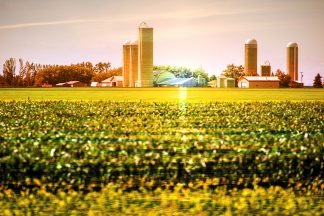 Modern Farmland and Agriculture Real Estate - Royalty-Free Stock Images